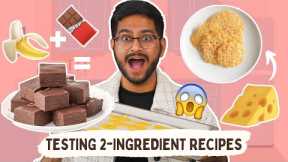 Testing ONLY Two Ingredient Recipes 😱😱 SHOCKING RESULTS | Pancakes, Cookies, Cheese Chips & More